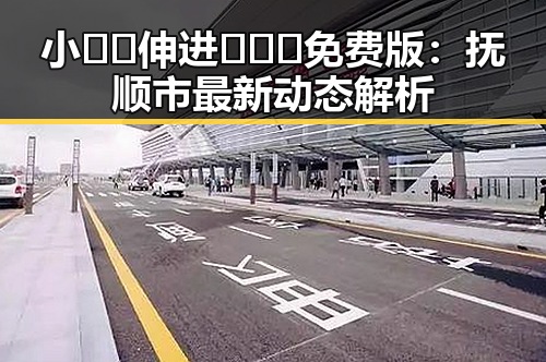 小🐔🐔伸进🈲🔞🔞免费版：抚顺市最新动态解析