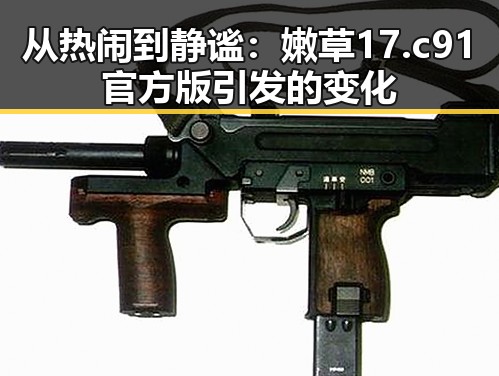 从热闹到静谧：嫩草17.c 91官方版引发的变化