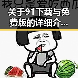 关于91下载与免费版的详细介绍与使用指南