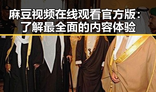麻豆视频在线观看官方版：了解最全面的内容体验