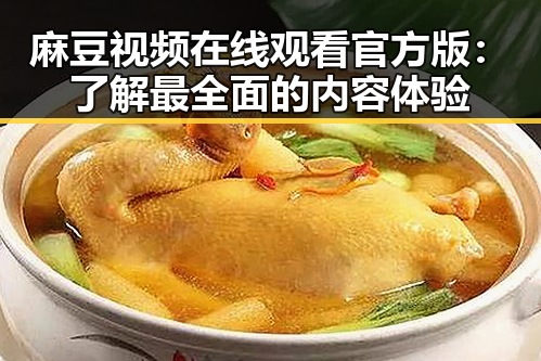 麻豆视频在线观看官方版：了解最全面的内容体验