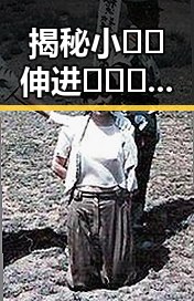 揭秘小🐔🐔伸进🈲🔞🔞官方版：娱乐圈背后的故事