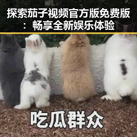 探索茄子视频官方版免费版：畅享全新娱乐体验