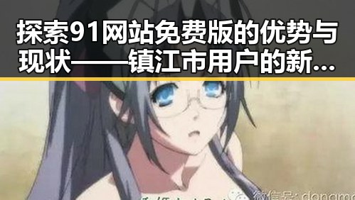 探索91网站免费版的优势与现状——镇江市用户的新选择