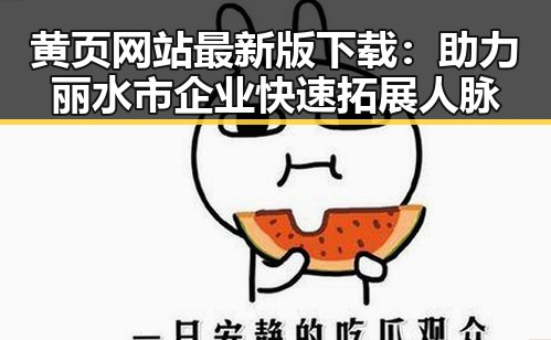 黄页网站最新版下载：助力丽水市企业快速拓展人脉