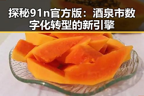 探秘91n官方版：酒泉市数字化转型的新引擎
