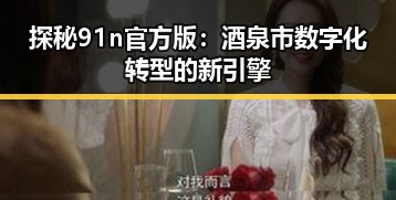 探秘91n官方版：酒泉市数字化转型的新引擎