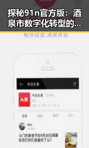 探秘91n官方版：酒泉市数字化转型的新引擎
