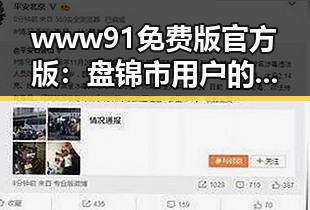 www91免费版官方版：盘锦市用户的最新体验与现状