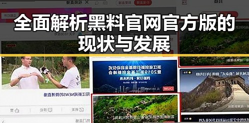 全面解析黑料 官网官方版的现状与发展