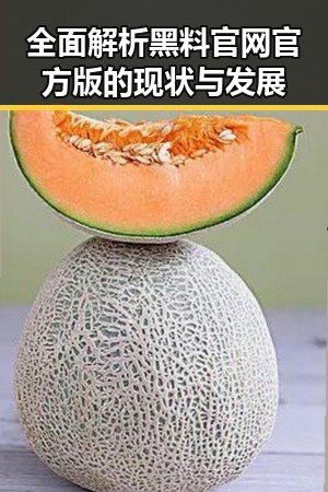 全面解析黑料 官网官方版的现状与发展