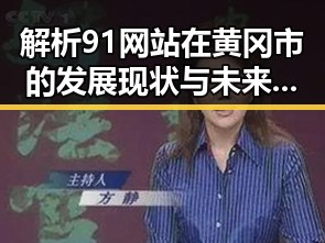 解析91网站在黄冈市的发展现状与未来趋势