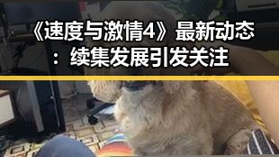 《速度与激情4》最新动态：续集发展引发关注