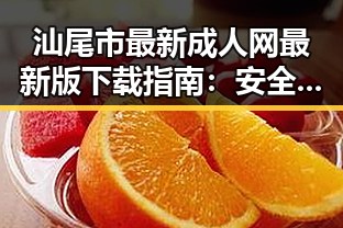 汕尾市最新成人网最新版下载指南：安全与选择并重