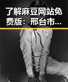 了解麻豆网站免费版：邢台市用户的理想选择