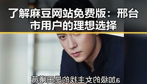 了解麻豆网站免费版：邢台市用户的理想选择