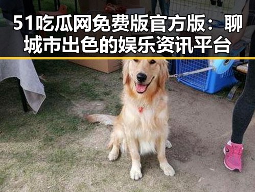 51吃瓜网免费版官方版：聊城市出色的娱乐资讯平台