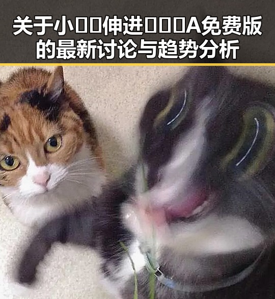 关于小🐔🐔伸进🈲🔞🔞A免费版的最新讨论与趋势分析