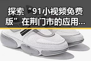 探索“91小视频免费版”在荆门市的应用与发展