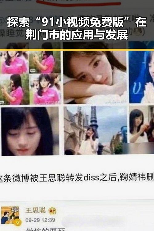 探索“91小视频免费版”在荆门市的应用与发展