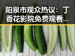 阳泉市观众热议:丁香花影院免费观看电视剧锦绣未央官方版引发关注