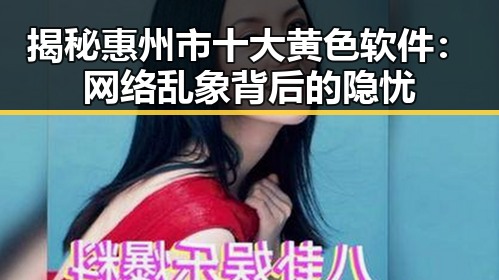 揭秘惠州市十大黄色软件：网络乱象背后的隐忧