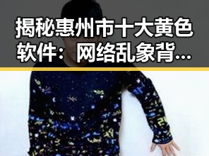 揭秘惠州市十大黄色软件：网络乱象背后的隐忧