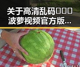 关于高清乱码🔞❌♋波萝视频官方版的全面介绍与解析