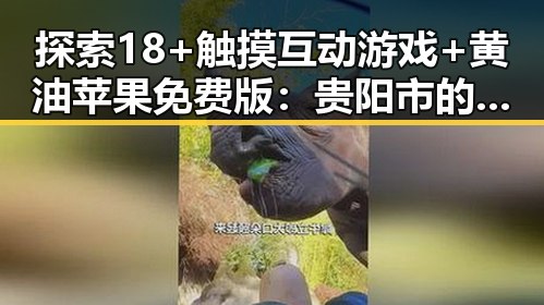 探索18+触摸互动游戏+黄油苹果免费版：贵阳市的最新趋势与玩法