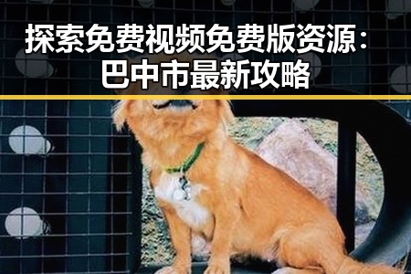 探索免费视频免费版资源：巴中市最新攻略