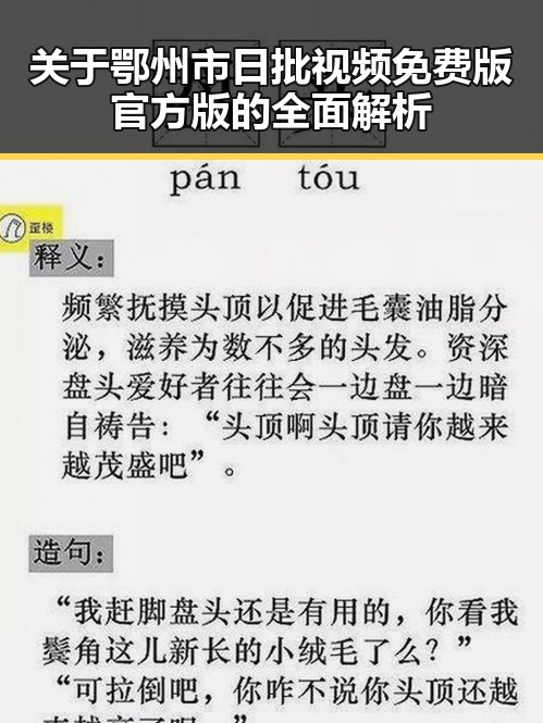 关于鄂州市日批视频免费版官方版的全面解析