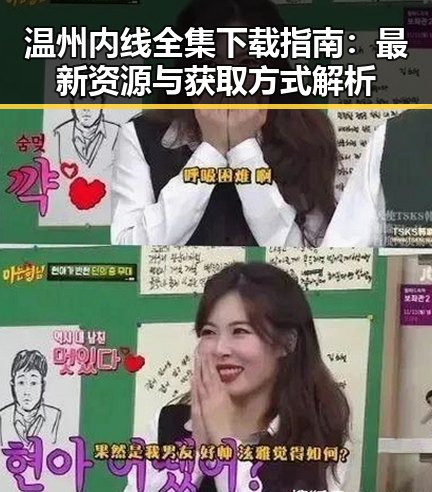 温州内线全集下载指南：最新资源与获取方式解析