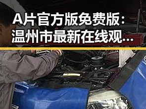 A片官方版免费版：温州市最新在线观看指南