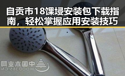 自贡市18馃埐安装包下载指南，轻松掌握应用安装技巧
