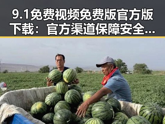 9.1免费视频免费版官方版下载：官方渠道保障安全与体验