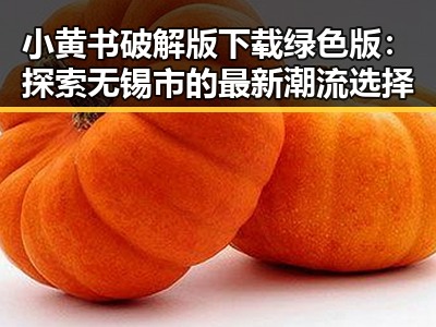 小黄书破解版下载绿色版：探索无锡市的最新潮流选择