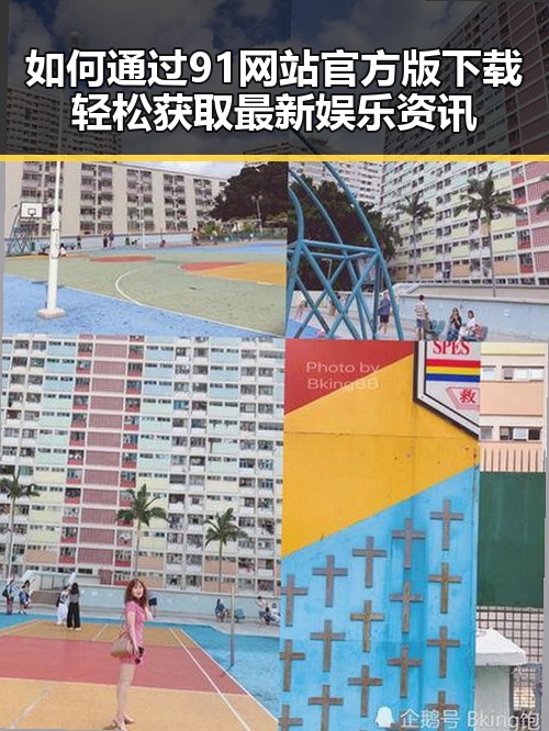 如何通过91网站官方版下载轻松获取最新娱乐资讯