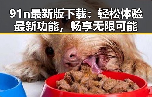 91n最新版下载：轻松体验最新功能，畅享无限可能