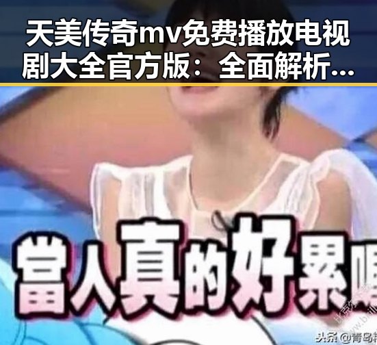 天美传奇mv免费播放电视剧大全官方版：全面解析与观看指南