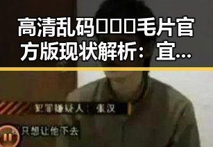 高清乱码🔞❌♋毛片官方版现状解析：宜宾市的关注与争议