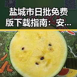 盐城市日批免费版下载指南：安全稳定的资源获取途径