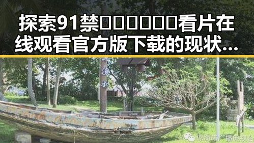 探索91禁🍆🍑🔞❌❌❌看片在线观看官方版下载的现状与发展
