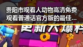 贵阳市观看人动物高清免费观看普通话官方版的最佳指南