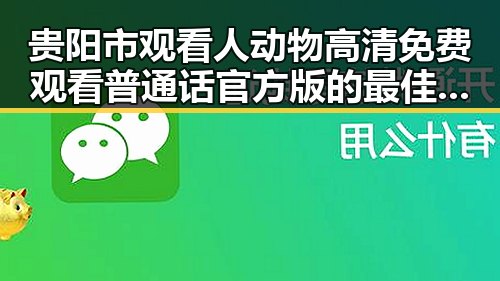 贵阳市观看人动物高清免费观看普通话官方版的最佳指南