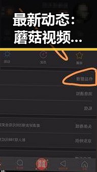 最新动态：蘑菇视频官方版在佳木斯市逐渐走红