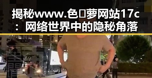 揭秘www.色😍萝网站17c：网络世界中的隐秘角落