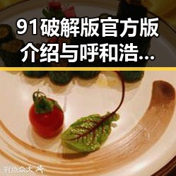 91破解版官方版介绍与呼和浩特市用户体验
