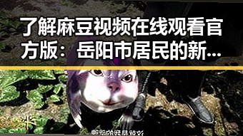 了解麻豆视频在线观看官方版：岳阳市居民的新娱乐选择