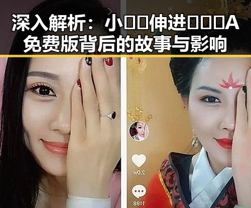 深入解析:小🐔🐔伸进🈲🔞🔞A免费版背后的故事与影响