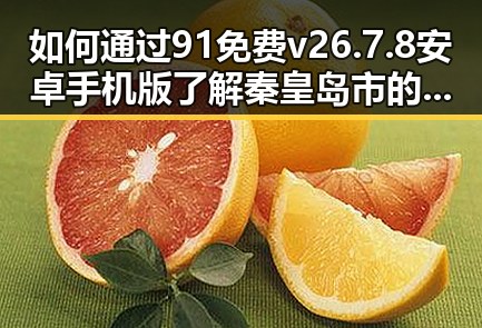 如何通过91免费v26.7.8 安卓手机版了解秦皇岛市的最新动态